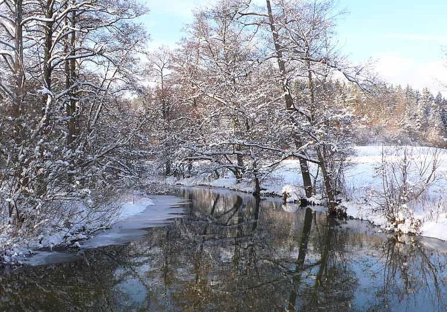 Lein im Winter